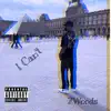 ZWoods - I Can't - Single